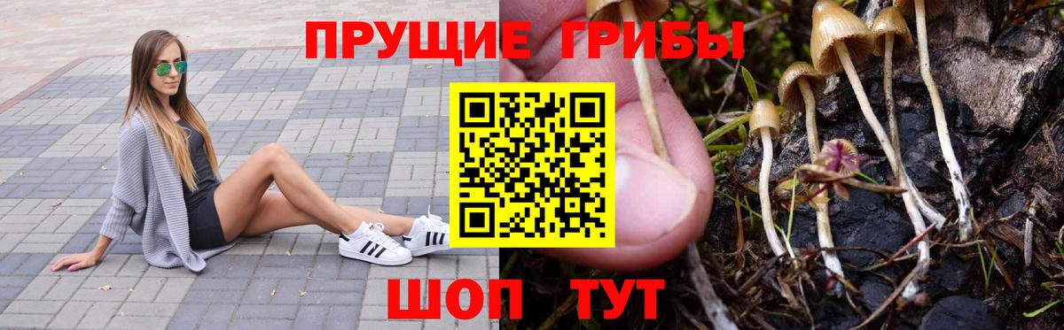 Галлюциногенные грибы MAGIC MUSHROOMS  Вход с VPN  Галлюциногенные грибы прущие грибы  Лесной 